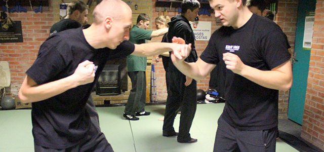 IPP KRAV MAGA seminaras